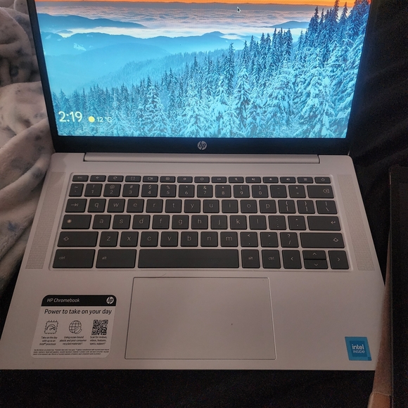 HP Chromebook - Silver